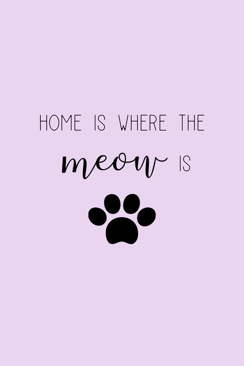 15 Cute cat quotes for cat lovers! These funny cat quotes are sure to make you smile! I just love kitties, don't you? #cats #funnyquotes #humor #kitties #catquotes #bestcatquotes Instagram, Crazy Cat Lady, Inspiration, Line Art, Cat Lover Quote, Cat Sayings, Cat Quotes Funny, Cat Mom Quotes, Funny Cat Quotes