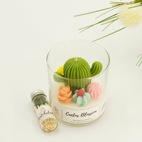 Cactus Blossom Soy Candle | Succulent Terrarium Candle | Gift for her | Holiday gift | Teacher gift | Boyfriend Birthday Gift | Candle gift https://etsy.me/3uXL2iZ #soy #gifts #vegan #entryway #terrariumcandle #succulentcandle #giftforplantlover #candles #botanicandle Candles, Terrarium, Cactus, Decoration, Candle Containers, Scented Candles, Scented Soy Candles, Candle Gift, Candle Making
