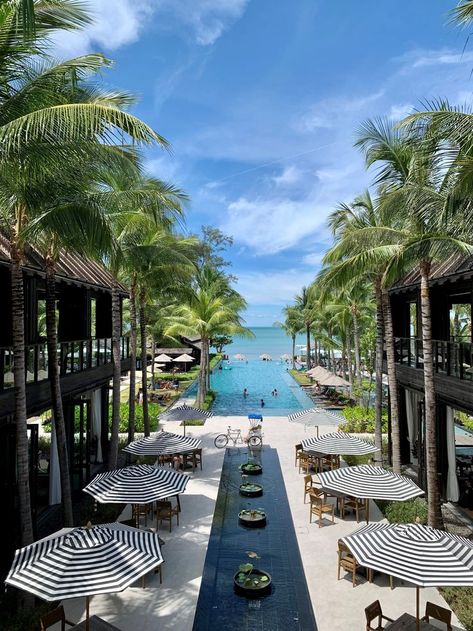 Resorts, Hotels, Koh Samui, Thailand, Thailand Resorts, Thailand Hotel, Hotels And Resorts, Luxury Beach Resorts, Bali Hotels