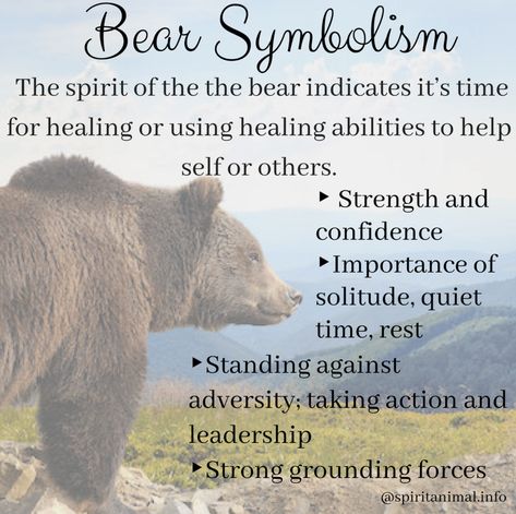 Bear Spirit Animal People, Spiritual Animal, Spirit Guides, Animal Totem Spirit Guides, Native American Wisdom, Animal Spirit Guides, Spirit Animal Totem, Animal Meanings, Empath