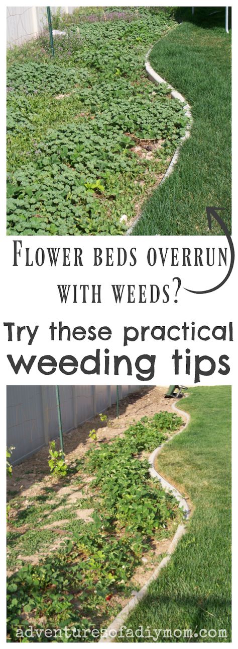Planting Flowers, Gardening Tips, Gardening Hacks, Garden Weeds, Garden Tips, Pulling Weeds, Lawn Sprinklers, Garden Plants, Lawns