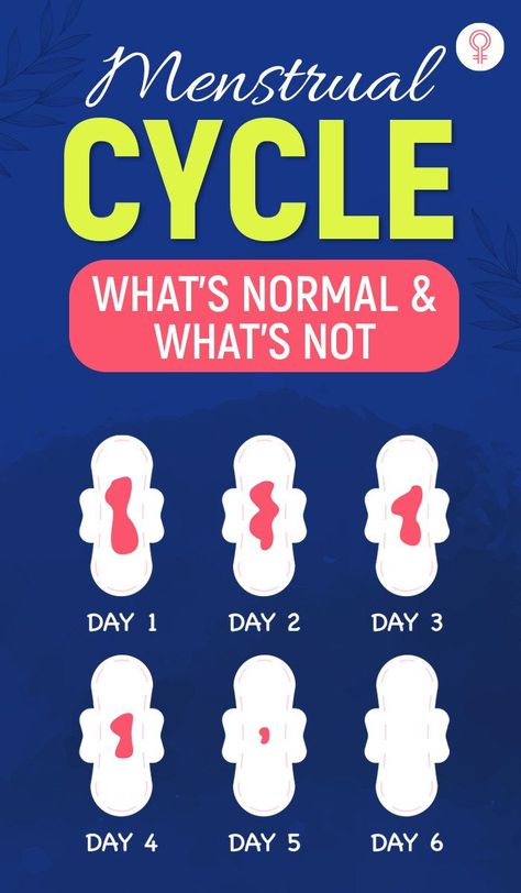 Menstrual Cycle: What’s Normal And What’s Not: A complete menstrual cycle is counted from the first day of a period to the first day of the next one. However, it isn’t the same for every woman. In fact, menstrual flow can occur anywhere between 21 days or 35 days, and it can last anywhere between 2 to 5 days. #health #wellness #menstrualcycle Menstrual Cycle Phases, Menstrual Cycle Facts, Menstrual Cycle Chart, Menstrual Cycle, Menstrual Health, Menstrual Period, Menstrual Cycle Tracker, Period Hacks