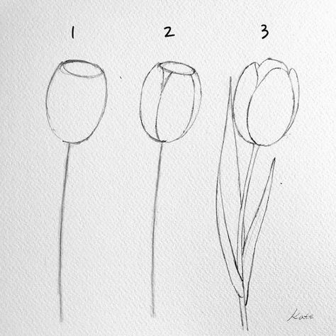 dibujos-a-lapiz-sencillos-tipos-de-tulipanes-para-dibujar-dibujos-sencillos-originales-fotos-de-dibujos-para-calcar Drawing Tutorials, Drawing Techniques, Draw, Tutorials, Kunst, Easy Drawings, Drawing Tutorial, Drawings, Flower Drawing Tutorials