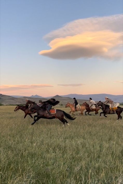 Horses galloping at sunset in Argentina Horse Girl, Horses, Cheval, Animais, Horse Aesthetic, Animaux, Fotos, Beautiful Horses, Dieren
