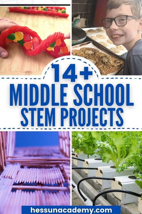 Art, Summer, Science Projects For Middle School, Middle School Enrichment, Middle School Science Experiments, Middle School Science Classroom, Steam Activities Elementary, Middle School Science Activities, Stem Activities