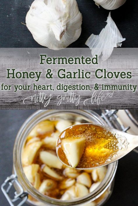 Fermented Honey and Garlic Cloves Healthy Recipes, Nutrition, Garlic Remedies, Garlic Benefits, Fermented Honey, Herbal Remedies, Health Remedies, Fermented Foods, Cold Remedies