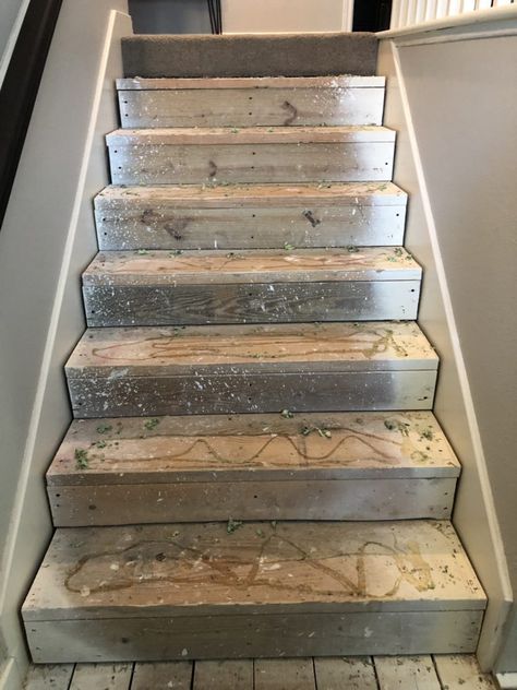 Design, Interior, Carpet Stairs, Redo Stairs, Basement Flooring, Stair Makeover, Stairs Makeover Ideas, Wood Stairs, Stair Remodel