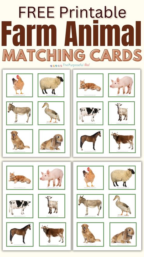 Free printable farm animal matching cards for a fun memory game with preschool children. Montessori, Pre K, Farm Animals For Kids, Farm Animals Games, Farm Animals Preschool, Farm Animals Theme, Farm Animal Crafts, Farm Activities Preschool, Toddler Free Printables