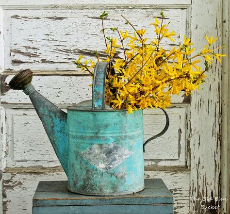 The Old Blue Bucket: The Forsythia Are Blooming! Resim, Sanat, Fotos, Bunga, Bloemen, Inspo, Bakken, Flores, Jardim