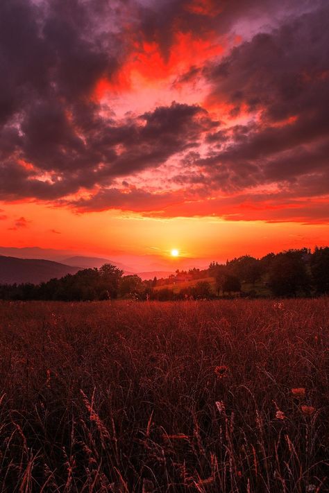 sundxwn: “ Sunset by Mevludin Sejmenovic ” Fotos, Fotografie, Dieren, Fotografia, Pretty Landscapes, Beautiful Nature, Pretty Sky, Beautiful Sky, Beautiful Sunset