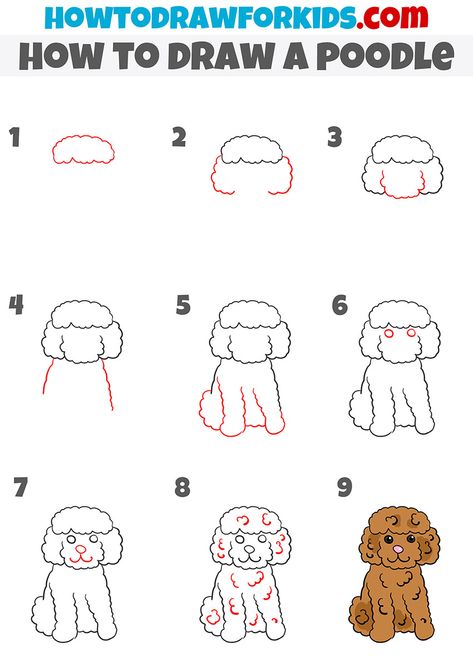 how to draw a poodle step by step