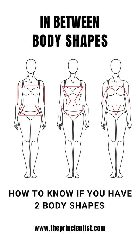 representative figure of bodies with two body shapes: figures where the top half markd one body shape and the bottom half marks another Glow, Croquis, Fitness, Videos, Body Shape Chart, Triangle Body Shape, Body Shape Guide, Rectangle Body Shape, Body Shapes