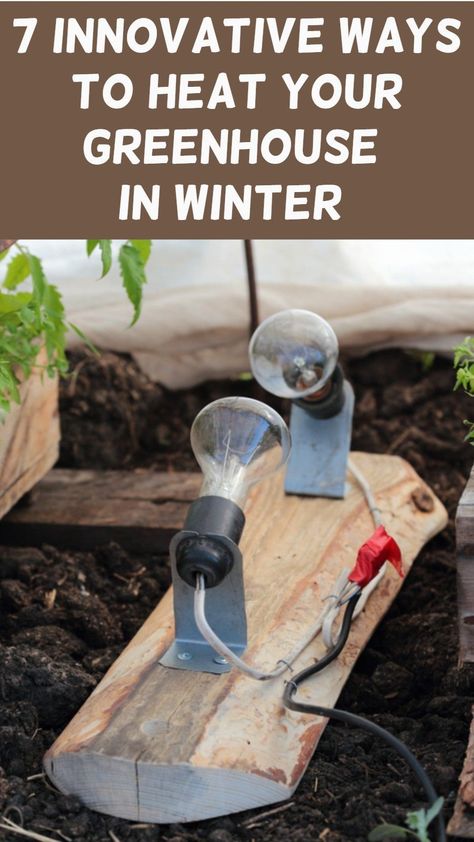 Cold Frames, Greenhouse Heaters, Heating A Greenhouse, Greenhouse Growing, Greenhouse Plants, Homemade Greenhouse, Greenhouse Gardening, Home Vegetable Garden, Outdoor Heating Ideas