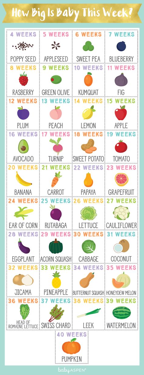 It can be hard to visualize how tiny your baby is during pregnancy. So we put together an infographic that breaks down your baby’s size by week – using fruits and vegetables as a point of reference! | How Big is Baby This Week? [Infographic] | Baby Aspen Fruit, Boho, Breastfeeding, Healthy Pregnancy, Power Foods, Pumping Moms, Breast Milk, How Big Is Baby, Turnip