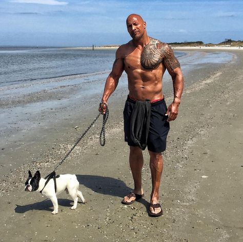 Now you know what the Rock is cooking. Bulldog Puppies, Pitbull, French Bulldog Puppies, French Bulldogs, Puppies, Dwayne Johnson, Bulldogs, Boxer, French Bulldog