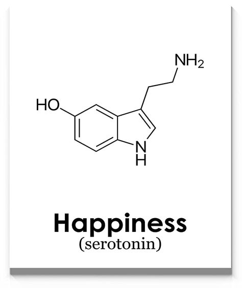 Ink, Design, Happiness, Serotonin Molecule Art, Serotonin Molecule Tattoo, Serotonin Molecule, Science Tattoos, Chemical Tattoo, Chemistry Tattoo