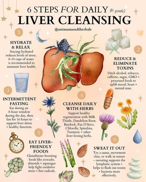 Liver Detox, Magia Das Ervas, Medical Herbs, Resep Diet, Healthy Herbs, Herbal Healing, Home Health Remedies, Herbs For Health, Healthy Liver
