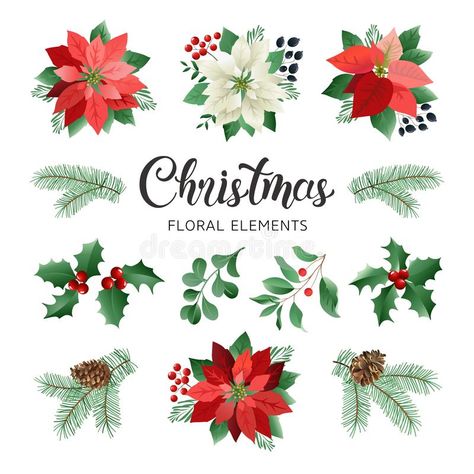Natal, Floral, Decoration, Christmas Cards, Flowers, Christmas Floral, Watercolor Christmas Cards, Christmas Flowers, Winter Flowers