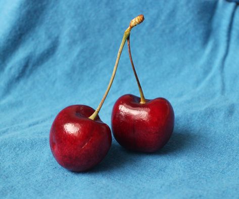 Free Cherry Reference | Lena Danya on Patreon Gouache, Food Art, Ideas, Cherry Drawing, Fruits Photos, Fruit Photography, Still Life Photos, Still Life Fruit, Still Life Pictures