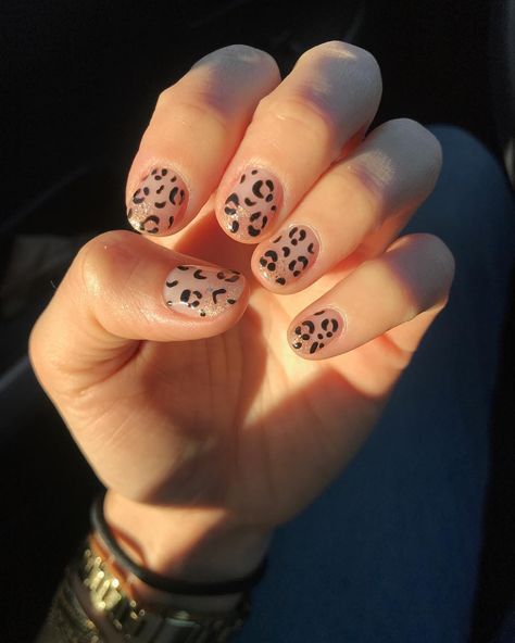 The coolest animal-print nail art ideas, cheetah nails #nailart #beauty #cheetahnails #cownails #Manicure #nailpolish photo via @oraclenails Leopard Nails, Nail Art Designs, Nail Designs, Cheetah Nail Designs, Leopard Print Nails, Cow Nails, Cute Acrylic Nails, Animal Nail Art, Trendy Nails