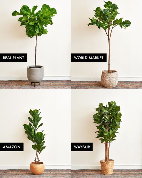 The Best Faux Fiddle Leaf Fig Tree | Apartment Therapy Gardening, Green Plants, Indoor Plants, Fiddle Leaf Fig Tree, Fiddle Leaf Tree, Hygge Decor, House Plants Decor, Plant Decor, Faux Plants