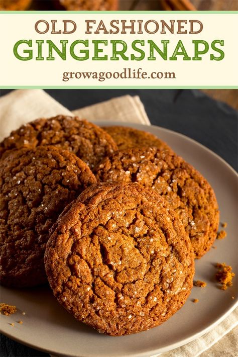 Brownies, Cake, Protein, Desserts, Crisp Ginger Snaps Recipe, Ginger Spice Cookies, Ginger Snaps Recipe, Ginger Biscuits, Molasses Recipes