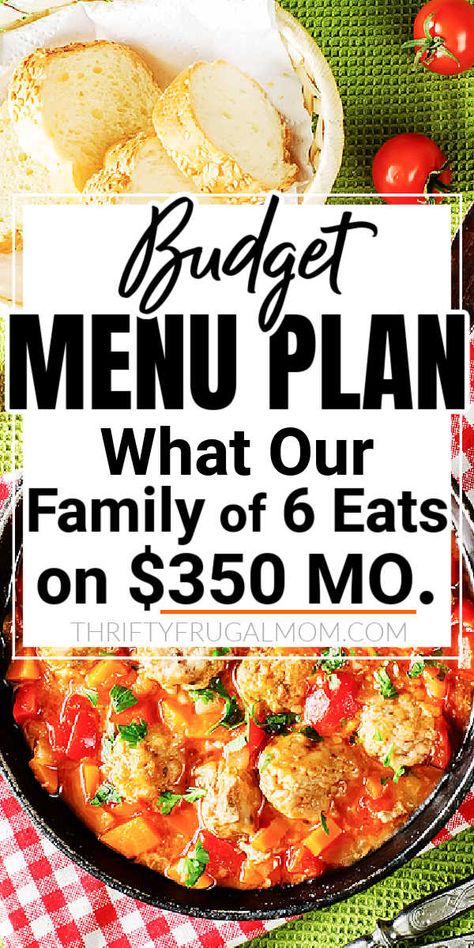 Looking for frugal meal ideas? This menu plan shows exactly what my family of 6 has been eating on a $350/month grocery budget. Lots of easy recipe ideas and meal inspiration! #menuplan #mealplanning Healthy Recipes, Budget Family Meals, Family Meal Planning Healthy, Family Meal Planning, Budget Meal Planning, Budget Friendly Recipes, Budget Meals, Cheap Meal Plans, Cheap Family Meals