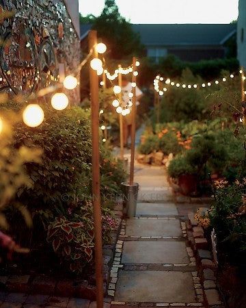 Garden Paths, Garden Design, Outdoor, Backyard Lighting, Garden Inspiration, Garden Lighting, Garden Path Lighting, String Lights Outdoor, Outdoor Lighting Design