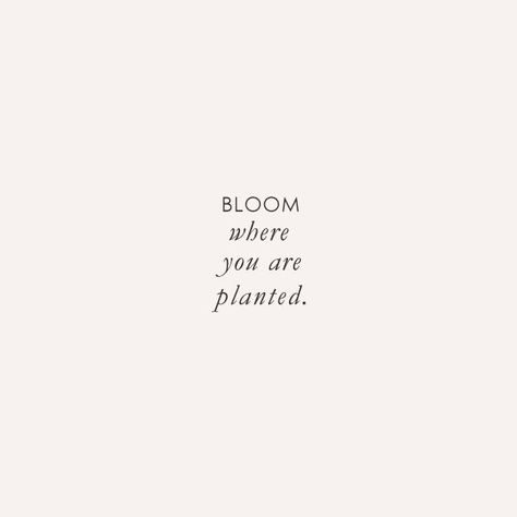 Design, Instagram, Love Quotes, Humour, Bloom Quotes, Bloom Where You Are Planted, Quotes About Flowers, Bloom Where Youre Planted, Quotes About Plants