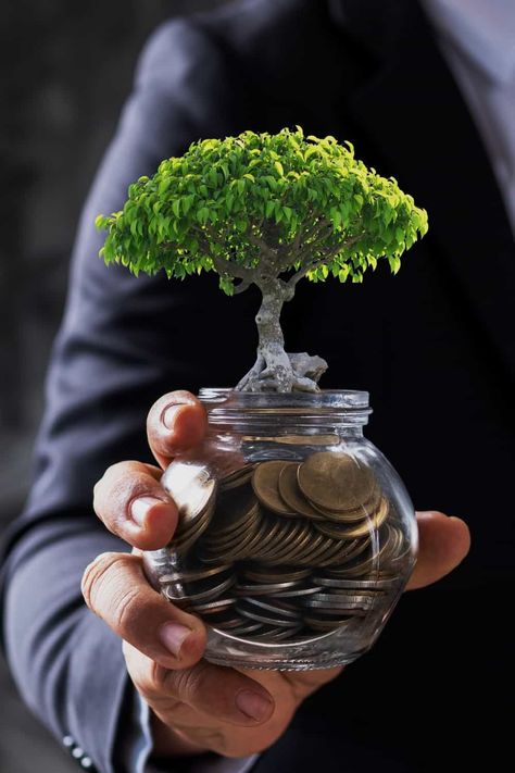 How To Invest In Carbon Credits To Greenify Your Portfolio Digital Marketing, Investing Apps, Investing, Carbon, Investment Tools, Investing Money, Finance, Budget App