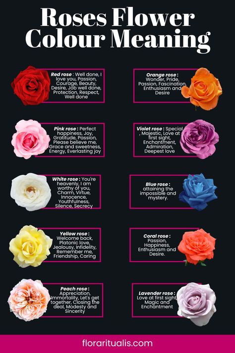 Outfits, Floral, Ideas, Nature, Art, Tattoos, Yellow Rose Meaning, Blue Rose Meaning, Rose Varieties