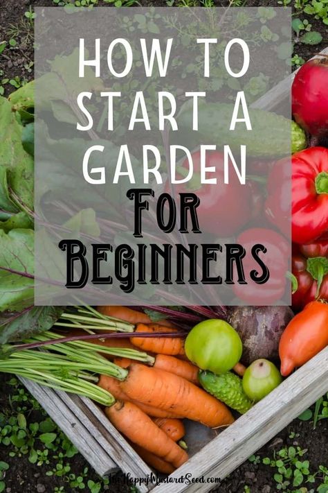 Compost, Growing Vegetables, Gardening, Gardening Tips, Gardening For Beginners, Vegetable Garden For Beginners, Vegetable Garden Planning, Starting A Vegetable Garden, Starting A Garden
