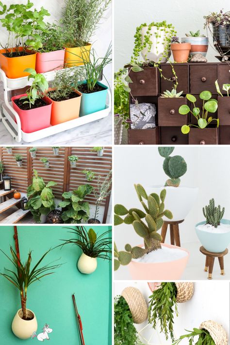 Plant stand ideas from Ikea that will make your home decor look stylish on a budget! #ikeahacks #ikea #plants #houseplants Diy, Ikea Hacks, Ideas, Ikea, Interior, Designers, Ikea Plant Stand, Ikea Plants, Ikea Planters
