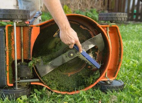 Lawn Care, Gardening, Lawn Mower Maintenance, Lawn Mower Repair, Best Lawn Mower, Lawn Mower Storage, Push Lawn Mower, Lawn Maintenance, Mowers For Sale