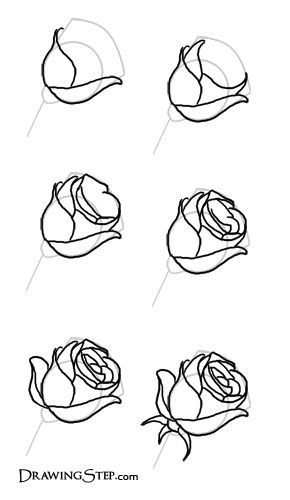 Cómo Dibujar Una Rosa - Rosas Para Dibujar A Lápiz Draw, Drawing Hands, Drawing Eyes, Drawing People, Drawing Tips, Drawing Tutorials, Drawing Faces, Drawing Tutorial, Kunst