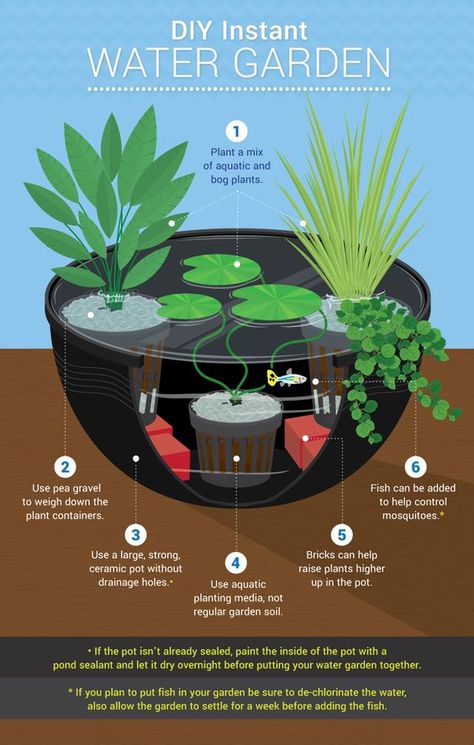 Gardening, Back Garden Landscaping, Container Gardening, Ponds For Small Gardens, Container Water Gardens, Indoor Water Garden, Backyard Landscaping, Garden Landscaping, Ponds Backyard