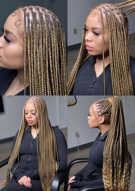 honey blonde braids, mixed color knotless braids, mixed color braids, Braided Hairstyles, Ideas, Box Braids, 27 Color Knotless Braids, Box Braids Hairstyles For Black Women, Braids With Curls, Box Braids Hairstyles, Braided Hairstyles For Black Women, Braids For Black Hair