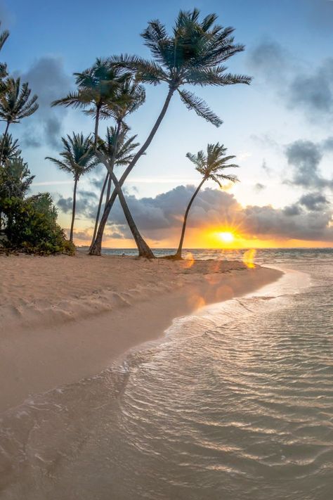 Trips, Beach, Vanuatu, Exotic Beaches, Beaches, Beach Paradise, Tropical Beaches, Tropical Paradise Beach, Caribbean Beaches