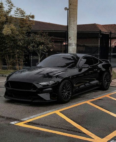 Black out Mustang GT Ford Gt, Mustang Gt, Toyota, Car Car, Audi, Ford Mustang Gt, Ford Mustang, Mustang Negro, Ford Mustang Car