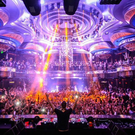 10 Things You Don’t Know About the Most Insane New Nightclub in Las Vegas Los Angeles, Ibiza, Las Vegas, Hotels, Las Vegas Night Clubs, Las Vegas Clubs, Las Vegas Vacation, Vegas Nightlife, Vegas Clubs