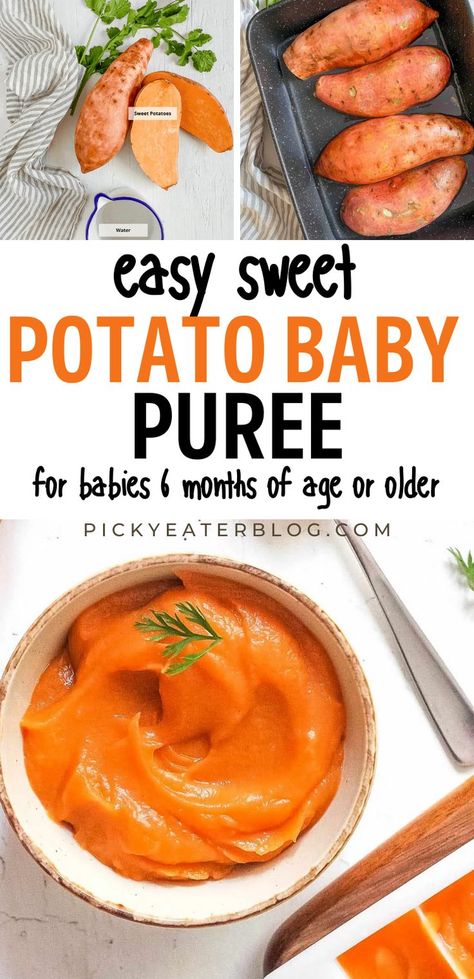 This simple to make, sweet potato baby food recipe is an easy puree that is quick, easy and great for babies 6 months of age or older! It’s popular first food for babies, and is packed with vitamins and nutrients! Sweet Potato Puree Baby Stage 1, How To Make Baby Puree Food, Sweet Potato 6 Month Old, Baby Food Sweet Potato Recipe, Sweet Potato Purée, Sweet Potato Recipe For Baby, Baby Sweet Potato Recipe, Homemade Babyfood Puree, Sweet Potato Puree Recipes