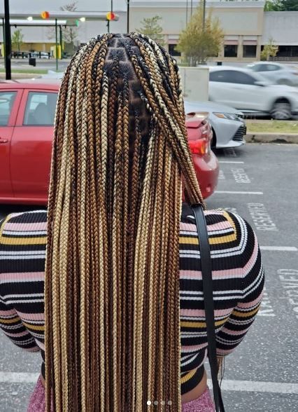 Braided Hairstyles, Box Braids Hairstyles For Black Women, Braided Hairstyles For Black Women, Big Box Braids Hairstyles, Box Braids Hairstyles, Pretty Braided Hairstyles, African Braids Hairstyles, Cute Box Braids Hairstyles, Braids For Black Hair