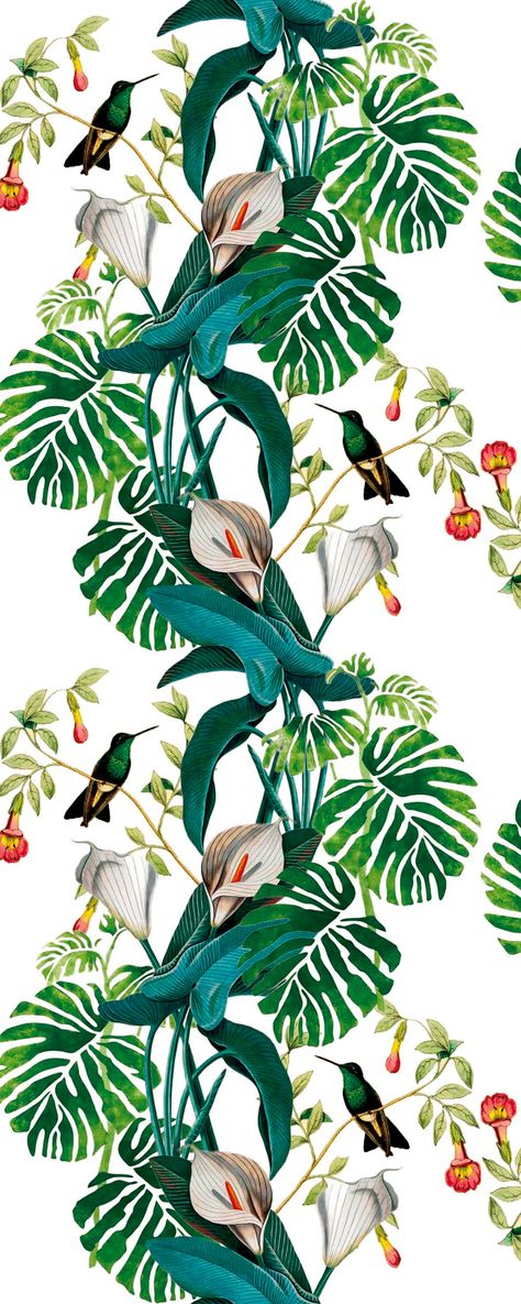 Design, Botanical Prints, Tropical Art, Botanical Art, Tropical Wallpaper, Abstract, Tropical, Botanical Illustration, Prints