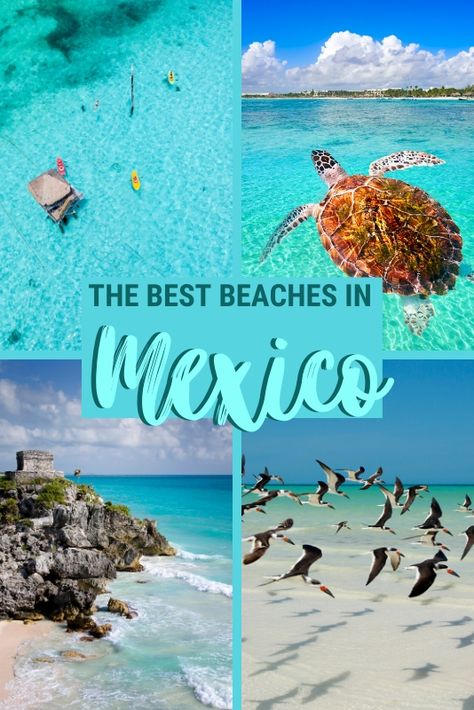 Mexico Destinations, Playa Del Carmen, Wanderlust, Cancun, Oaxaca, Best Beaches Mexico, Best Beaches In Mexico, Vacation Spots In Mexico, Mexico Vacation Destinations