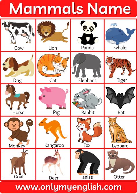 Mammals Name List in English with Pictures, Image » OnlyMyEnglish English, Phonics, Animals Name In English, Animals Name List, Animals Name With Picture, Mammals Images, Mammals, English Vocabulary, Learn English