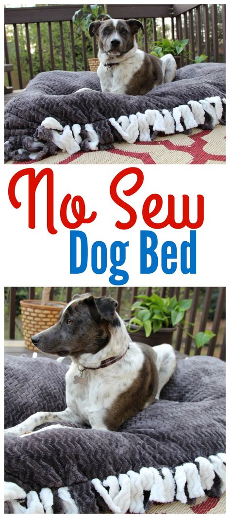 Crafts, Dog Beds, Diy, Diy Dog Bed Pillow, Dog Beds Homemade, Diy Dog Blankets, Homemade Pet Beds, Homemade Dog Bed, Easy Dog Bed