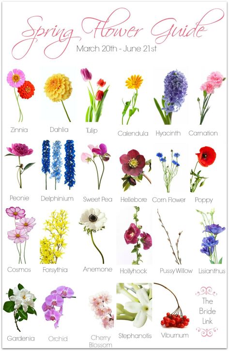 Floral, Hochzeit, Hoa, Bouquet, Flores, Bodas, Bloemen, Floristry, Bunga