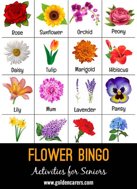 A 'Flower' themed bingo game! English, Flower Games, Flowers Name List, Flower Names, Daisy Party, Flower Party, Flower Guide, Flower Types, Flower Power