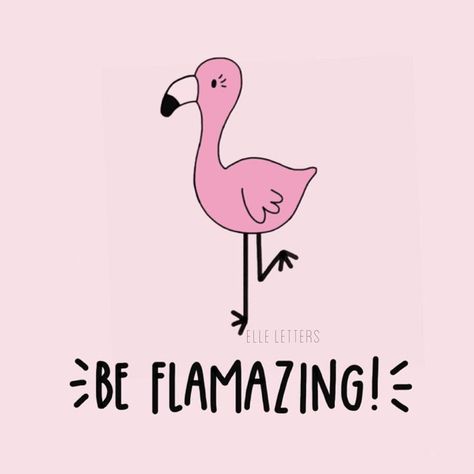 Be flamazing girl! Shine like the bright pink flamingo that you are  | #girlboss #inspirationalquotes #motivationalquotes Iphone, Flamingo, Flamingos Quote, Pink Flamingos, Flamingo Puns, Flamingos, Pin, Flamingo Art, Cute