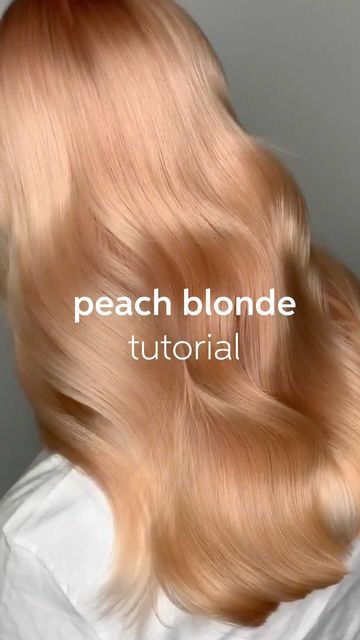 Ombre, Light Strawberry Blonde, Blorange Hair, Peach Hair Colors, Peach Hair, Strawberry Blonde Hair, Pink Blonde Hair, Strawberry Blonde Hair Color, Apricot Hair
